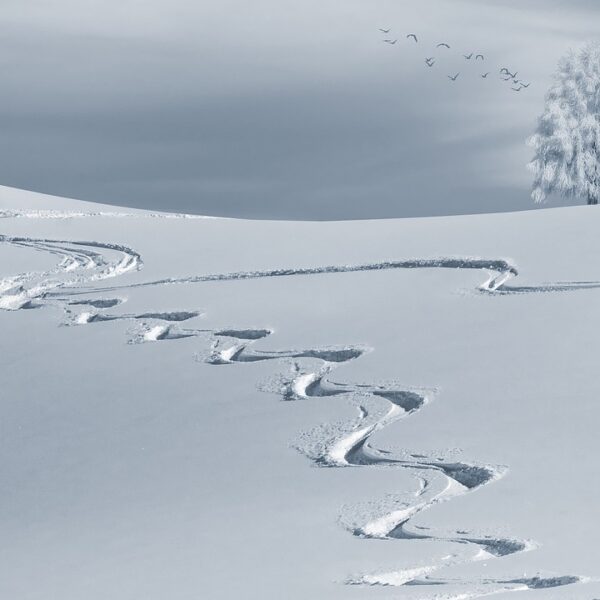 wintry, snow, backcountry skiiing-2068298.jpg